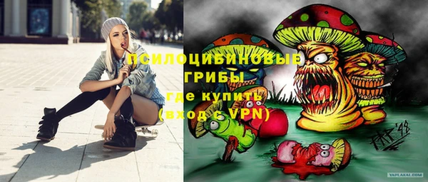 а пвп мука Нея