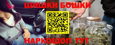 индика Дубна