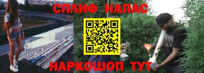 индика Дубна