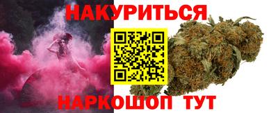 индика Дубна