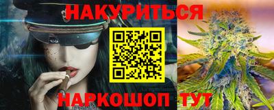 индика Дубна