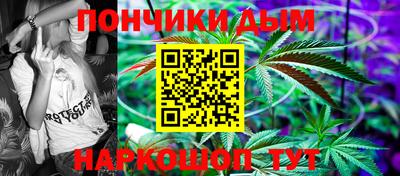 индика Дубна