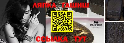 индика Дубна