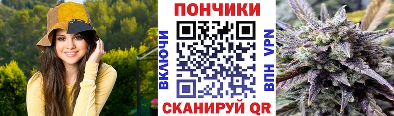 наркота  Энгельс  Конопля план 